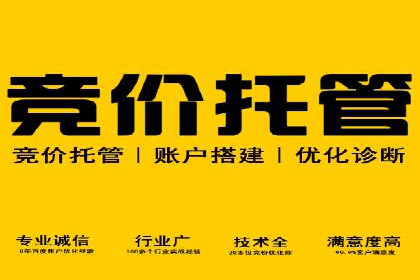 成功案例揭秘：百度包年竞价如何助力企业增长